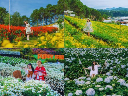 TOUR ĐÀ LẠT NGƯỜI CAO TUỔI 3N3Đ: Resort 5 Sao – Trải Nghiệm Tàu Cổ & Lửa Trại