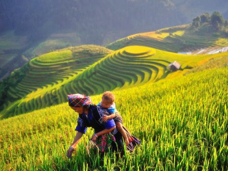 HÀ NỘI – TRÀNG AN – HẠ LONG – YÊN TỬ – SAPA 5N4Đ